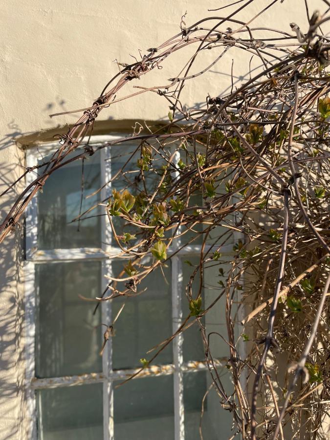 Stenstrup Feriehus I Skon Natur מראה חיצוני תמונה