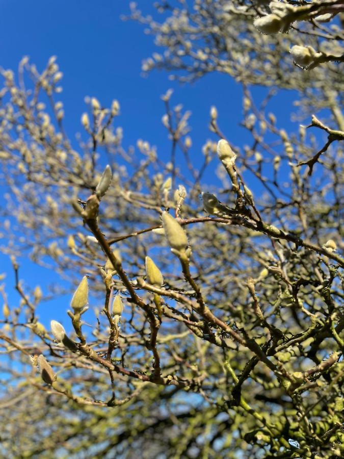 Stenstrup Feriehus I Skon Natur מראה חיצוני תמונה