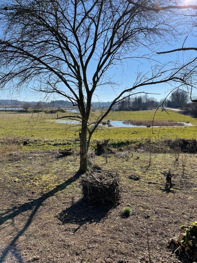 Stenstrup Feriehus I Skon Natur מראה חיצוני תמונה