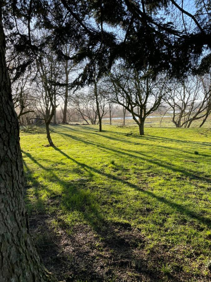 Stenstrup Feriehus I Skon Natur מראה חיצוני תמונה