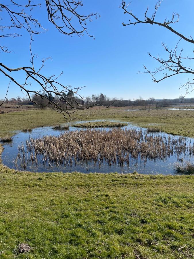 Stenstrup Feriehus I Skon Natur מראה חיצוני תמונה